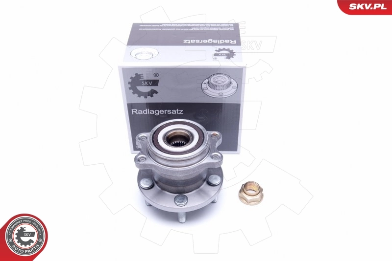 Wheel Bearing Kit